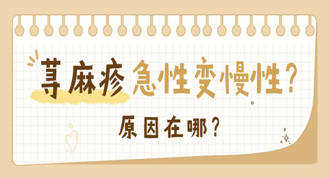 荨麻疹急性变慢性？原因在哪？