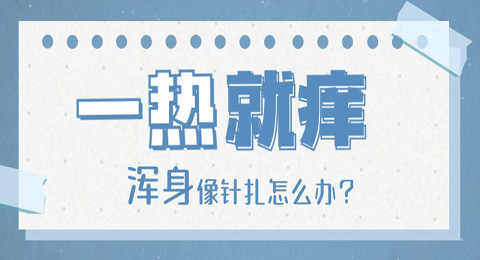 一热就浑身针扎一样痒怎么治？