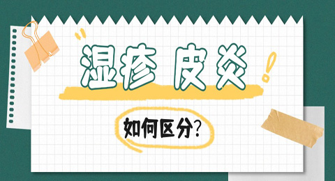 怎么区分湿疹与皮炎，日常如何护理？