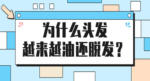 为什么头发越来越油还脱发？怎么改善？