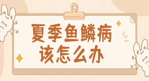 鱼鳞病知多少：夏季皮肤干燥，面对鱼鳞病该怎么办？