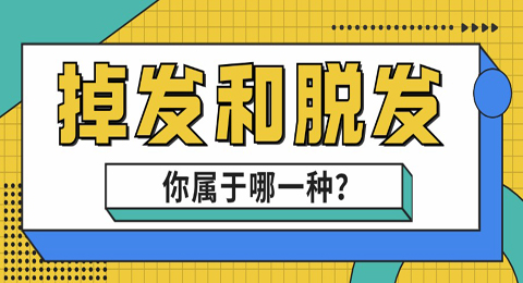 掉发和脱发你是否真的了解过？你属于哪一种？