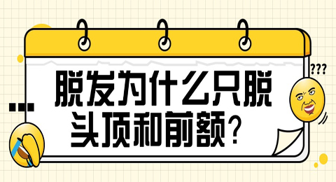 脱发为什么只脱头顶和前额？