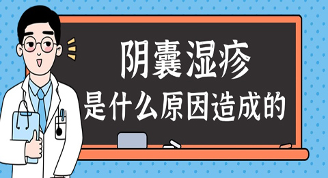 阴囊湿疹是什么原因造成的？